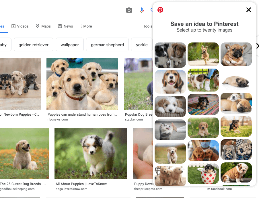Add Pinterest Browser Button